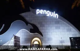 آشنایی با مجموعه پنگوئن کیش؛ سرگرمی خانوادگی
