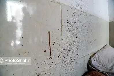 بازسازی صحنه قتل هولناک