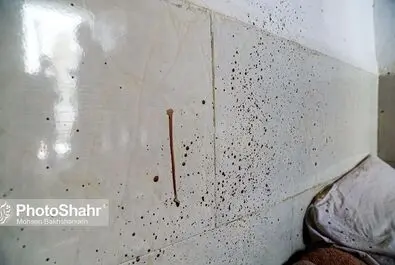 بازسازی صحنه قتل هولناک