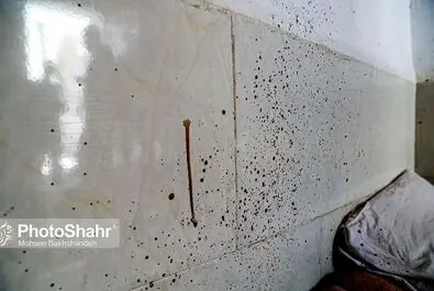 بازسازی صحنه قتل هولناک