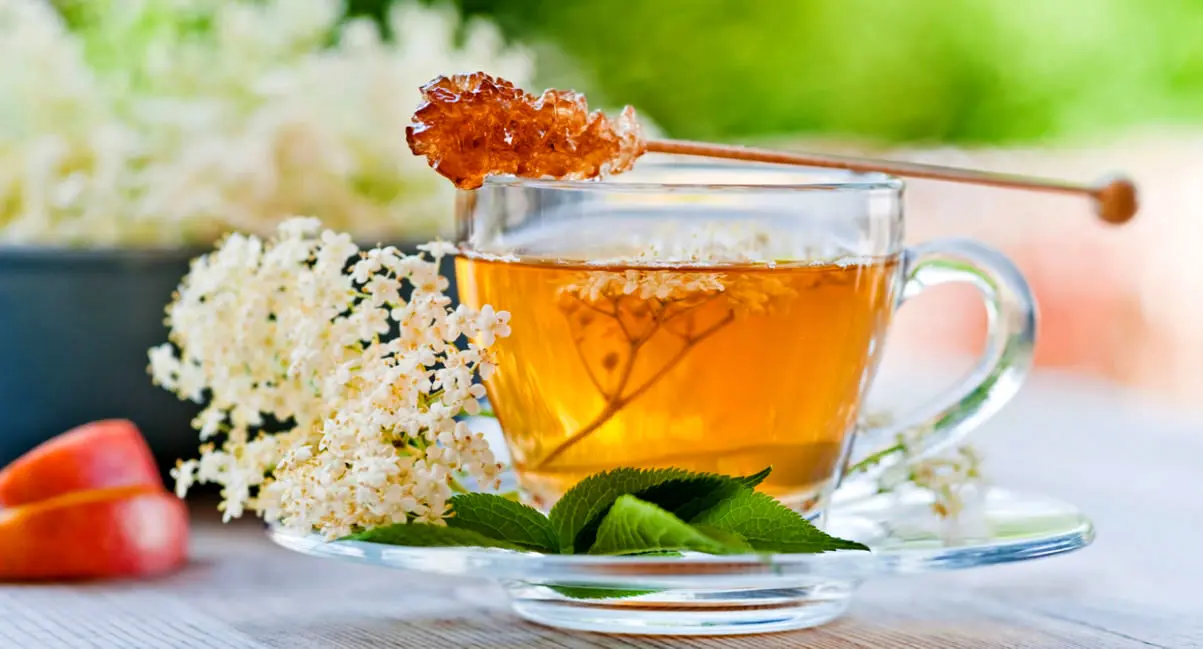 13 دمنوش گیاهی عالی برای آرامش اعصاب