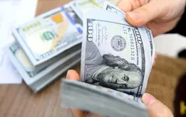 قیمت دلار ترسید، دلار اوج گرفت 