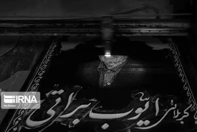 مرگ و میر