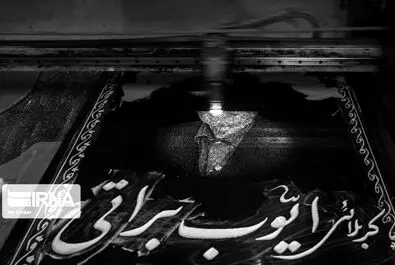 مرگ و میر