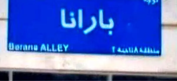 اقدام جنجالی یک مدیر شهرداری/ مدیر شهرداری نام دخترش را روی کوچه شان گذاشت + عکس