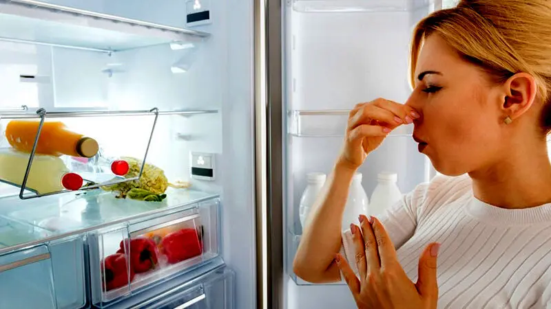 چرا یخچال بوی بد می‌گیرد؟