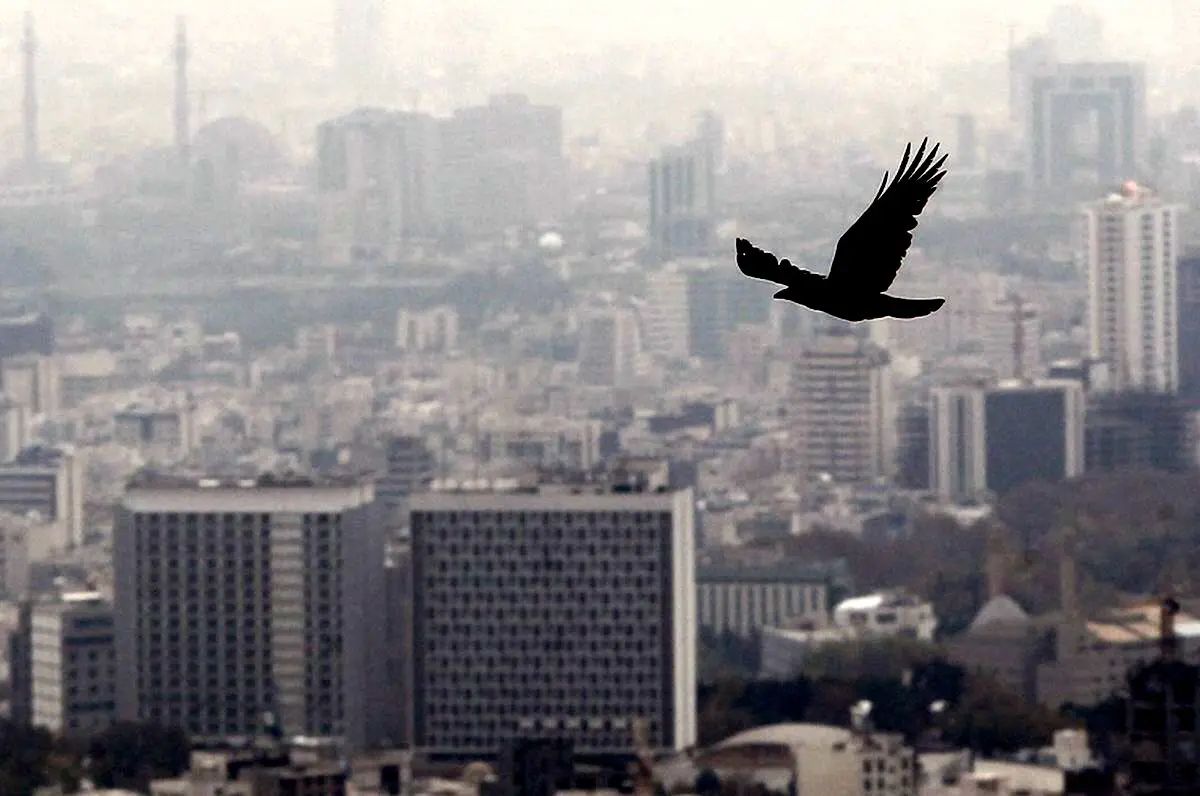 4 مقصر اصلی آلودگی هوا احضار شدند
