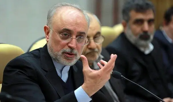 درخواست جنجالی علی‌اکبر صالحی از رهبر انقلاب
