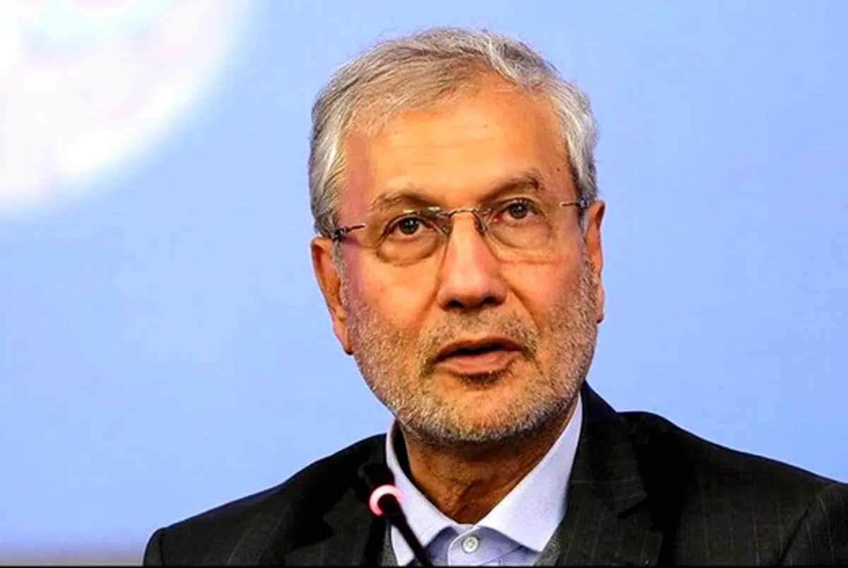 علی ربیعی: نظرسنجی‌ها از بروز بحران‌های اخیر خبر می‌دادند