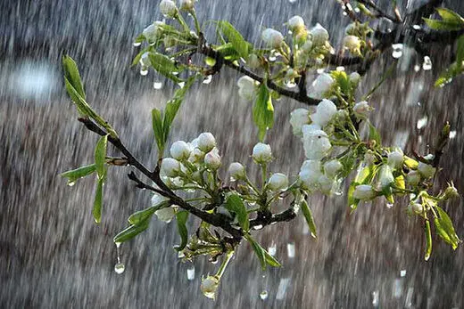 سرما در راه است