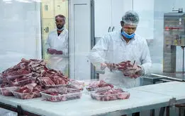 واردات گوشت‌های فاسد از پاکستان به ایران