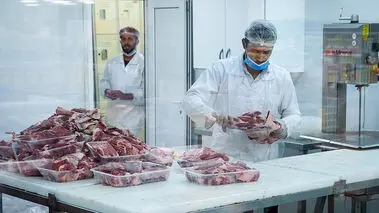 واردات گوشت‌های فاسد از پاکستان به ایران