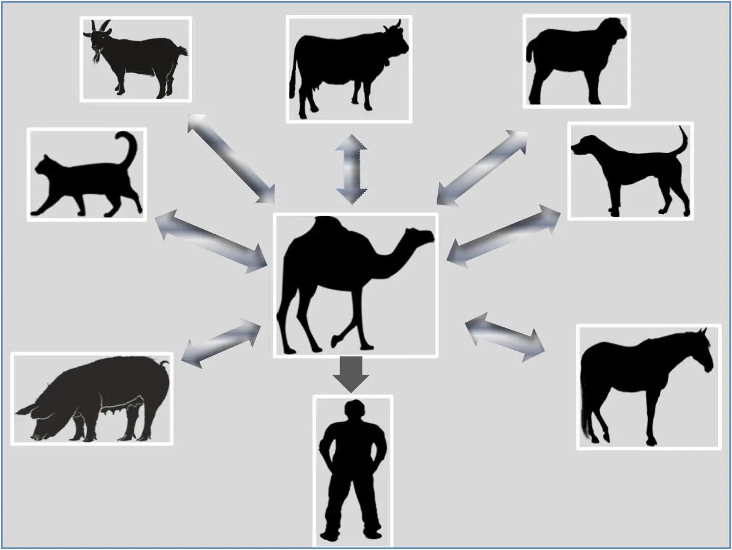 خطر هولناک در کمین ساکنان کرج و البرز | طاعون آمد