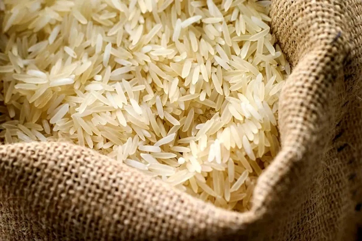 فروش برنج پاکستانی به جای برنج ایرانی با نرخ ۳ برابری!