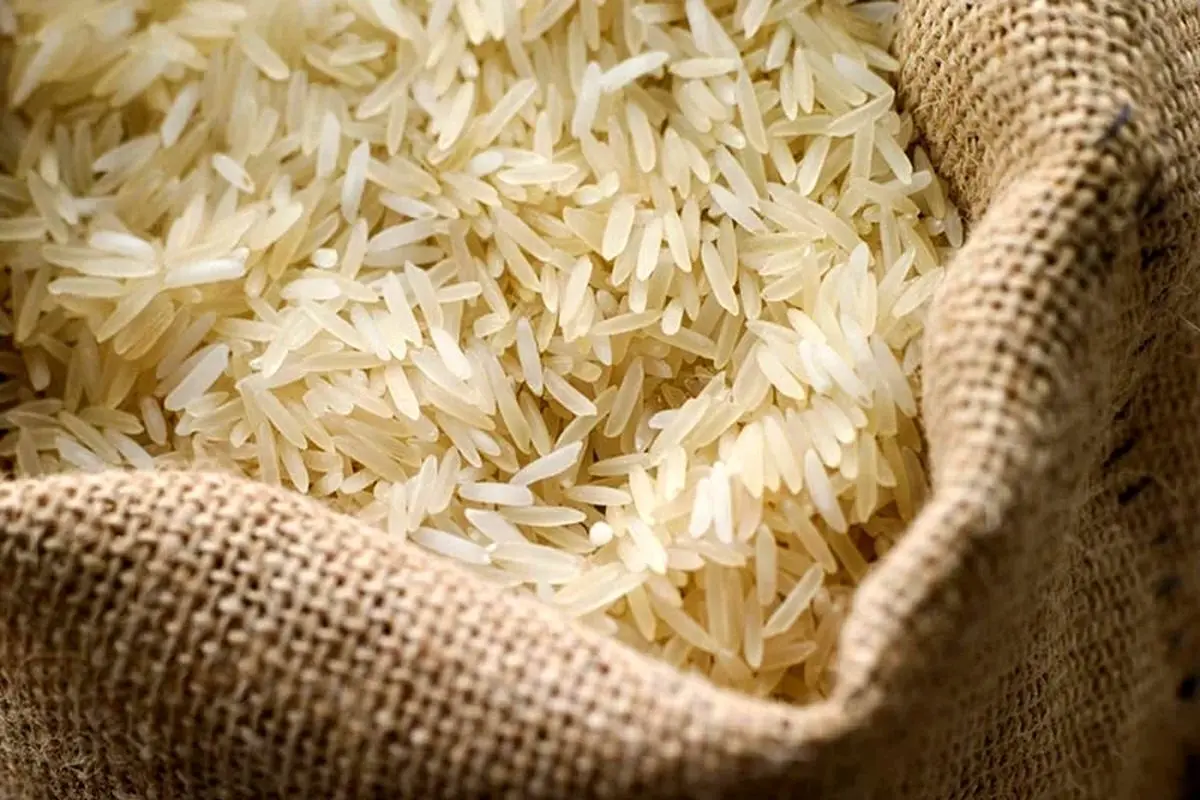 فروش برنج پاکستانی به جای برنج ایرانی با نرخ ۳ برابری!