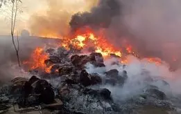 یک کارخانه در ملارد آتش گرفت + آمار مصدومان