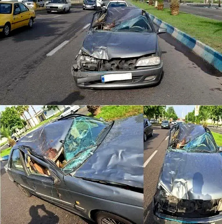 تصادف مرگبار یک پژو با اسب؛ راننده جان باخت