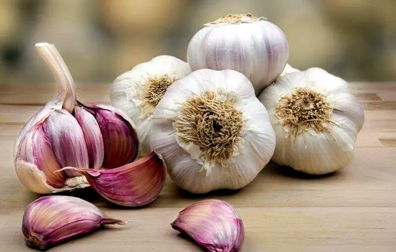 راه رهایی از بوی بد دهان بعد از خوردن سیر +عکس