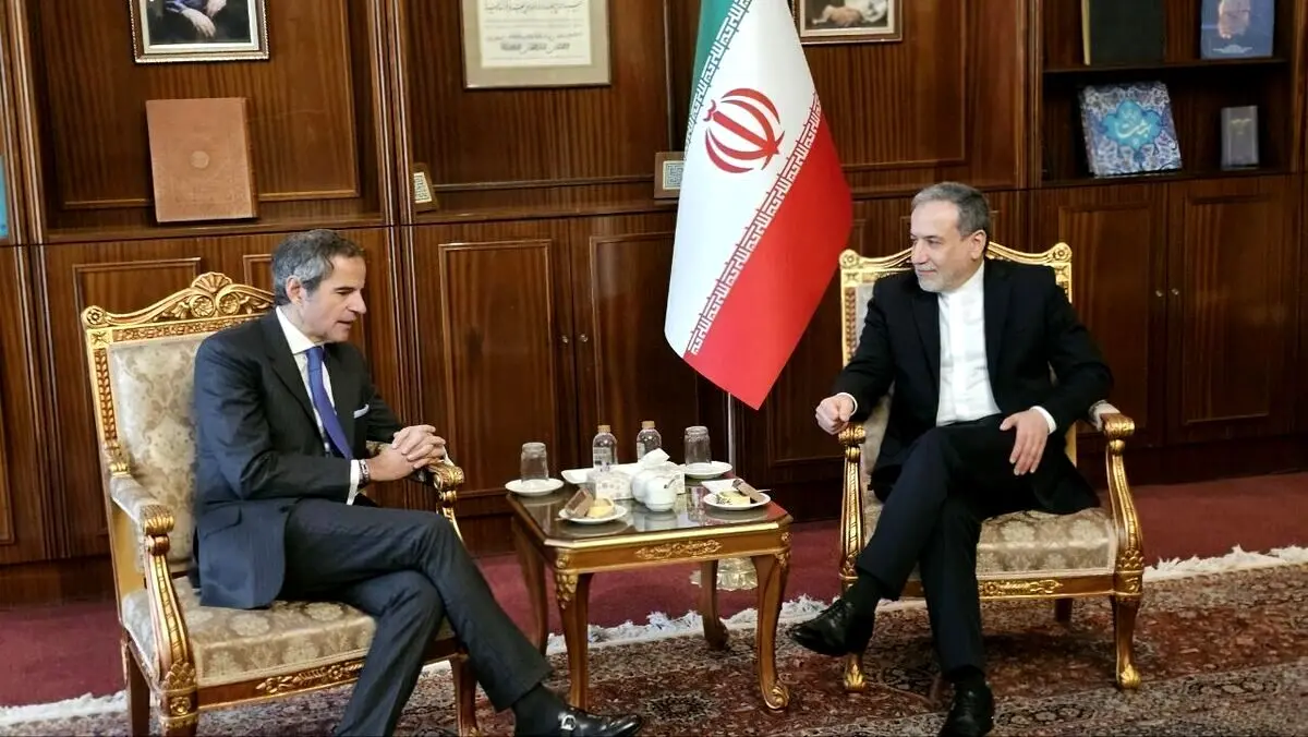عکس معنادار گروسی در تهران خبرساز شد + عکس

