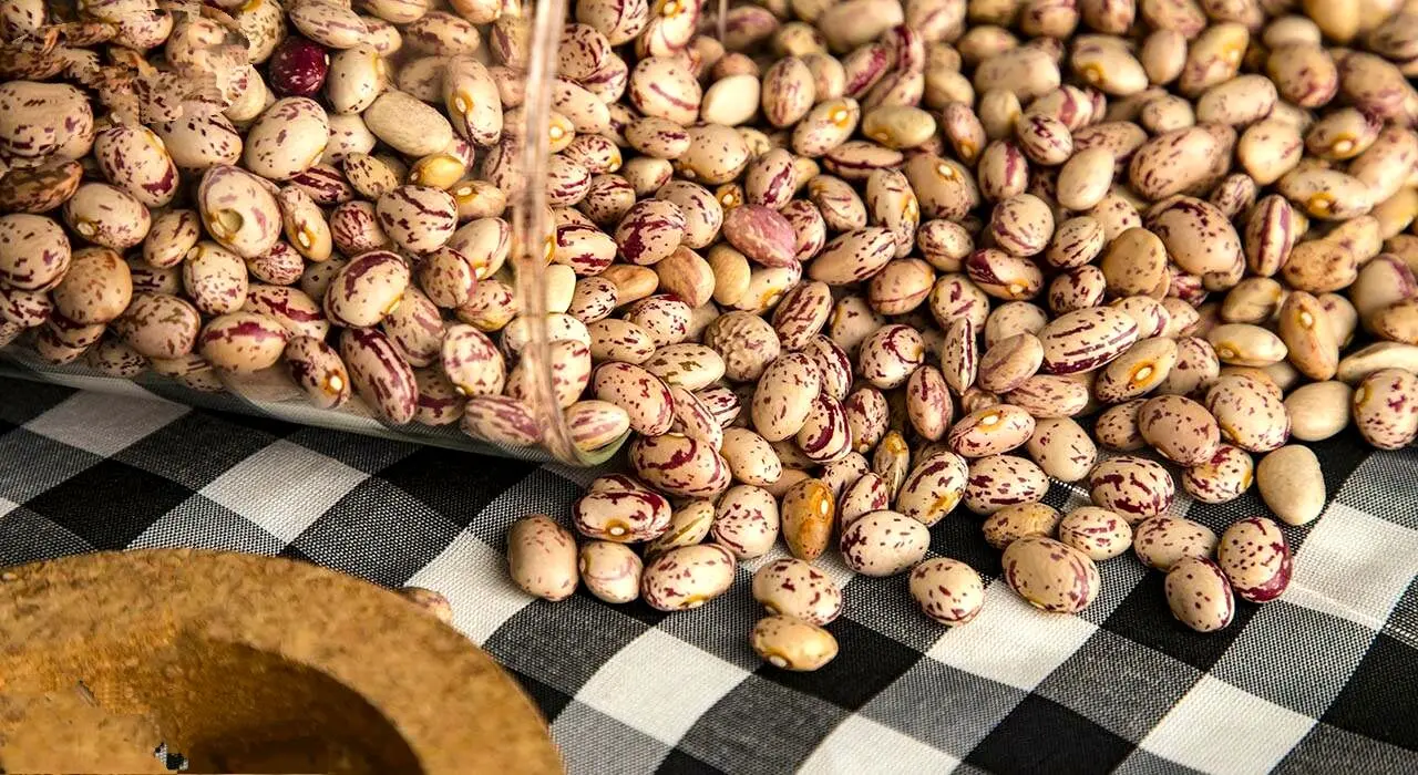 افزایش ۱۵۹ درصدی قیمت لوبیاچیتی!