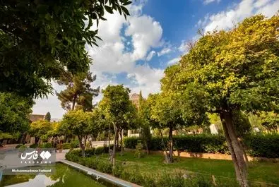 حافظ