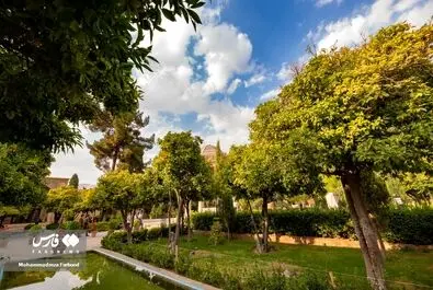 حافظ