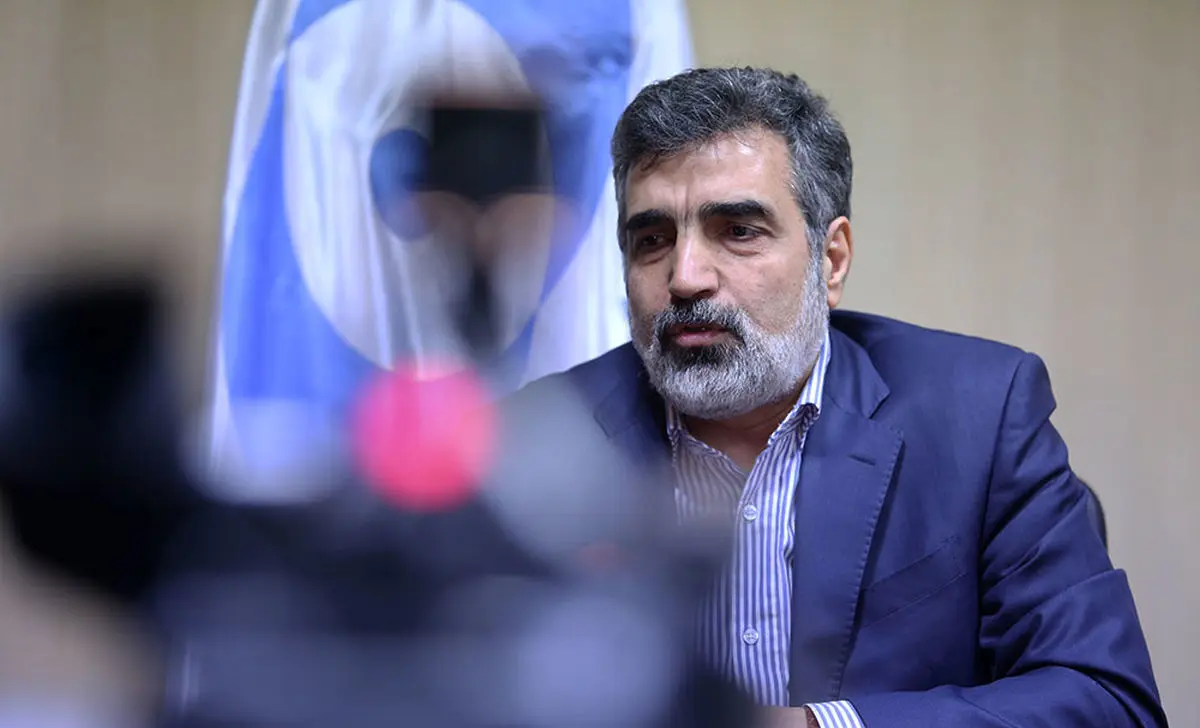 سخنگوی سازمان انرژی اتمی: دیده شدن ذرات اتمی ۸۴ درصد از لحاظ فنی طبیعی است