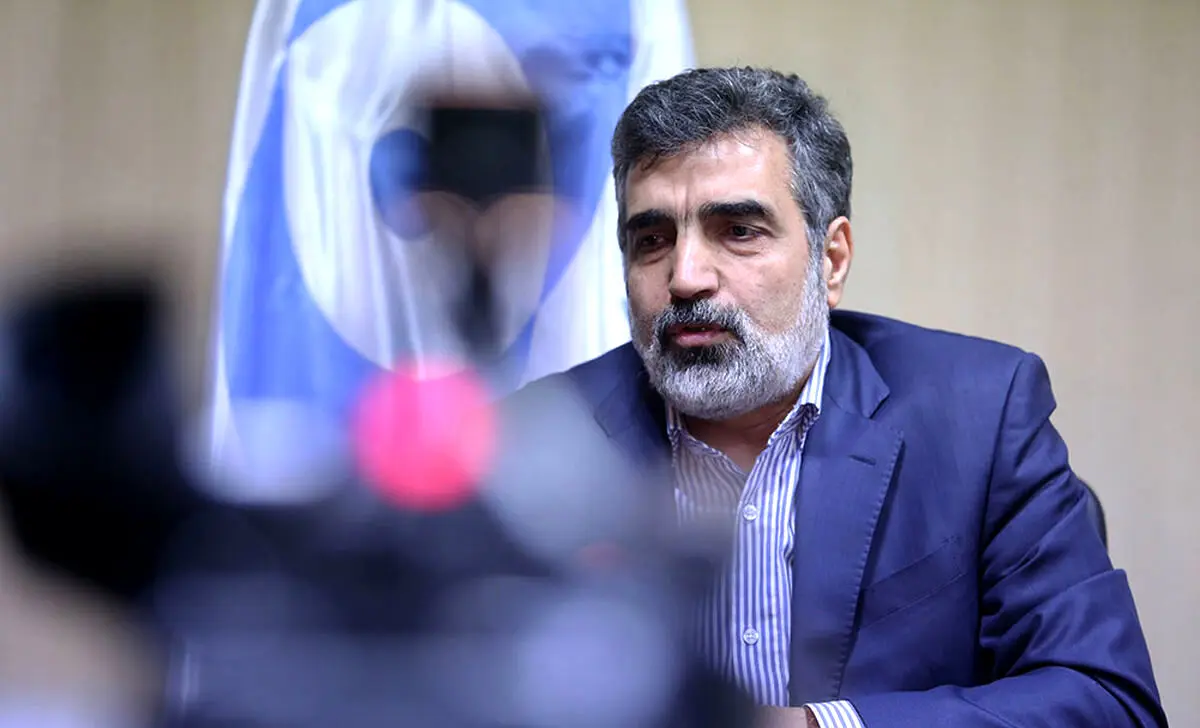 سخنگوی سازمان انرژی اتمی: دیده شدن ذرات اتمی ۸۴ درصد از لحاظ فنی طبیعی است