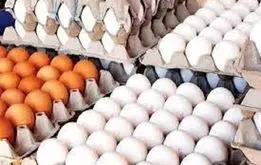 تخم مرغ از چشم بازار افتاد !