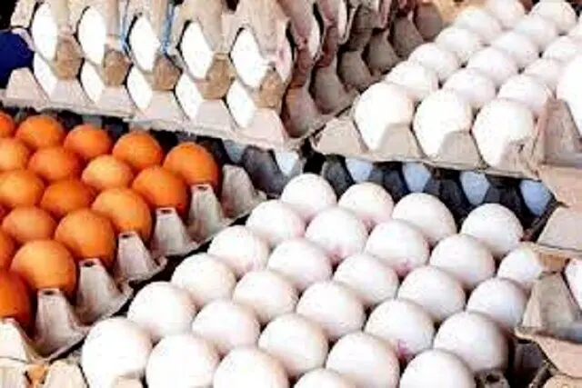 تخم مرغ از چشم بازار افتاد !