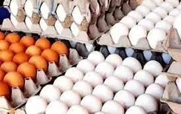 تخم مرغ از چشم بازار افتاد !