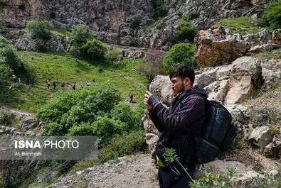 دره ارغوان