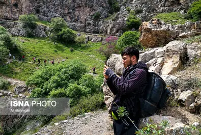 دره ارغوان